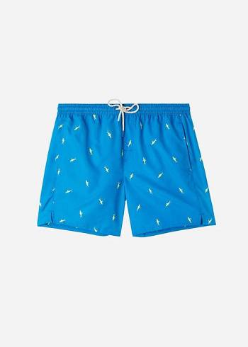 Blue / Grey Calzedonia Formentera Men's Swim Trunks | USA2939WY