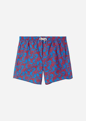 Blue / Orange Calzedonia Formentera Sport Men's Swim Trunks | USA2946XF