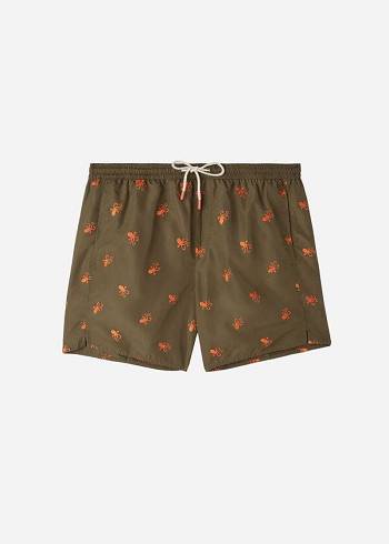 Brown Calzedonia Formentera Men's Swim Trunks | USA2937RW