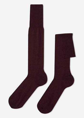 Burgundy Calzedonia Lisle Thread Men's Long Socks | USA2761LH