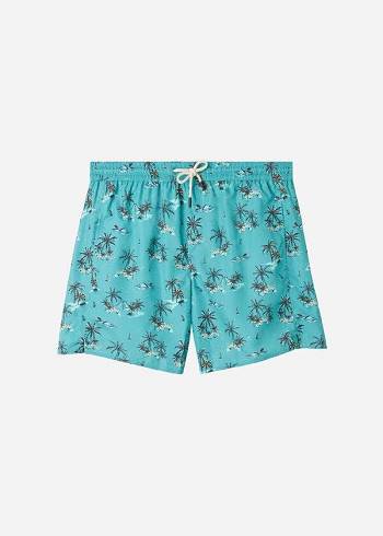 Green Calzedonia Formentera Sport Men's Swim Trunks | USA2944VD