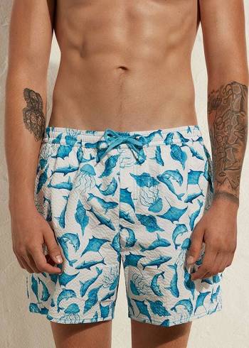 Turquoise / White Calzedonia Formentera Men's Swim Trunks | USA2920EX